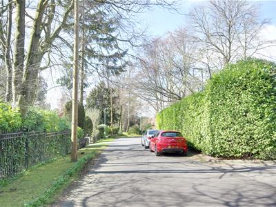 Picture 26